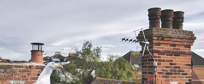 Chimney Cleaning And Restoration in Altamont, Oregon