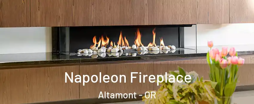  Napoleon Fireplace Altamont - OR